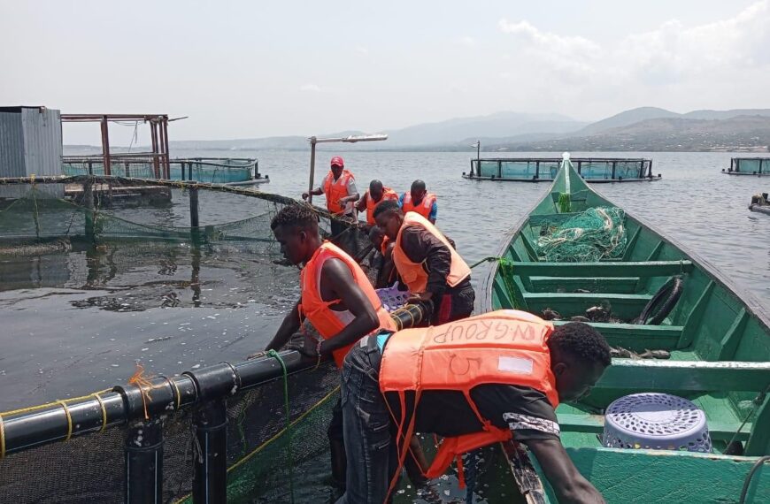 Fish Farmers Take Aquaculture Levy Dispute to Court of Appeal