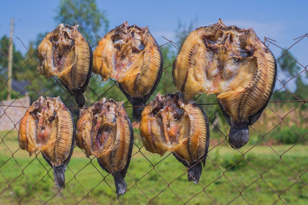 Sun-dried Fish