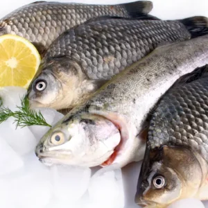Fresh Fish