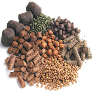 Fish Feeds