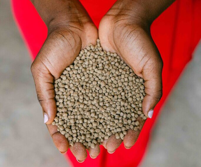 Can Technology Help Farmers Reduce Fish Feed Waste?