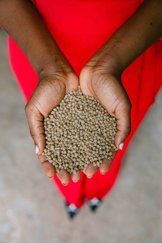Can Technology Help Farmers Reduce Fish Feed Waste?